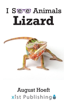Lizard