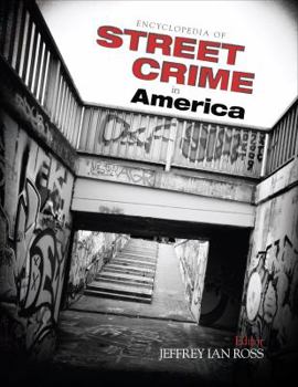 Hardcover Encyclopedia of Street Crime in America Book