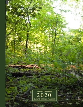 Paperback January - December 2020 Daily & Weekly Planner: 1 Year Personal Calendar; Sunlight Streaming Through Forest Book