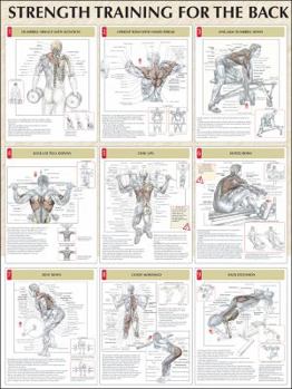 Strength Training for the Back Poster