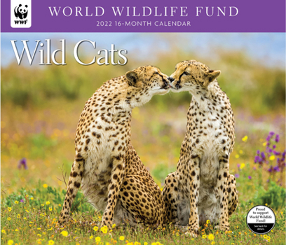 Calendar Wild Cats WWF 2022 Wall Calendar Book