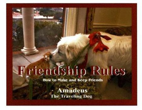 Hardcover Friendship Rules: How to Make and Keep Friends Book