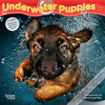 Underwater Puppies 2022 7 x 7 Inch Monthly Mini Wall Calendar, Pet Humor Dog Canine