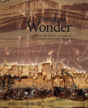 Hardcover Timeless Wonder: Painting on Stone in Rome Between the Cinquecento and Seicento Book