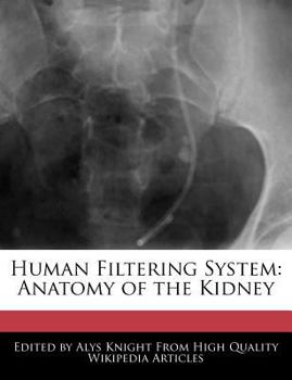Human Filtering System : Anatomy of the Kidney