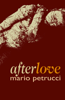 Paperback afterlove Book