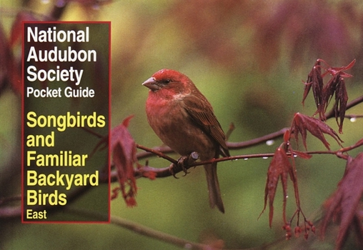 NAS Pocket Guide to Songbirds and Familiar Backyard Birds: Eastern Region: East (National Audubon Society Pocket Guides) - Book  of the National Audubon Society Pocket Guides