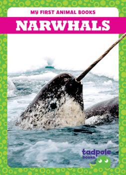 Paperback Narwhals Book