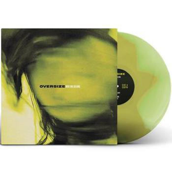 Vinyl Into The Ceiling Book
