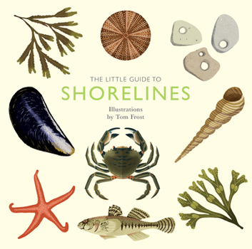 Hardcover The Little Guide to Shorelines Book