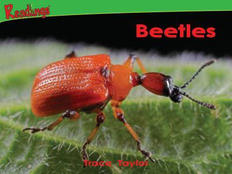 Paperback Beetles Book