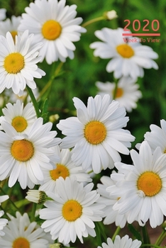 2020 A5 Diary Week To View Planner For All Occasions: | Year Planner For Business, Office, Home, University, College, School, Appointments, Organizer.