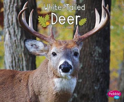 Hardcover White-Tailed Deer Book