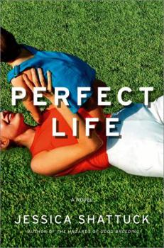 Hardcover Perfect Life Book