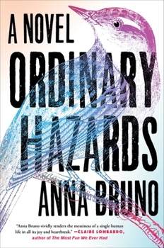 Hardcover Ordinary Hazards Book