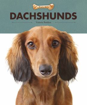 Paperback Dachshunds Book