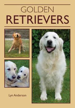 Paperback Golden Retrievers Book