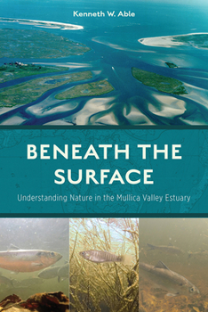 Hardcover Beneath the Surface: Understanding Nature in the Mullica Valley Estuary Book