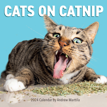 Calendar Cats on Catnip Wall Calendar 2024: A Year of Cats Living the High Life and Feeling Niiiiice Book