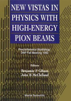 Hardcover New Vistas in Physics with High-Energy Pion Beams - Preconference Workshop, DNP Fall Meeting 1992 Book