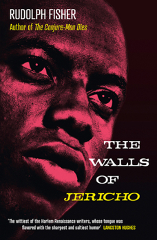 Paperback The Walls of Jericho Book