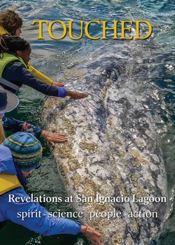 Paperback Touched / Tocado: Revelations at San Ignacio Lagoon: Spirit, Science, People, Politics Book