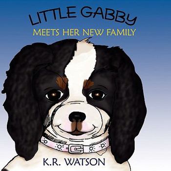 Paperback Little Gabby Meets Her New Family Book