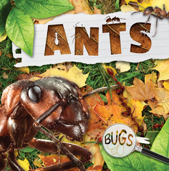 Paperback Ants Book