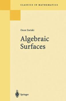 Paperback Algebraic Surfaces Book