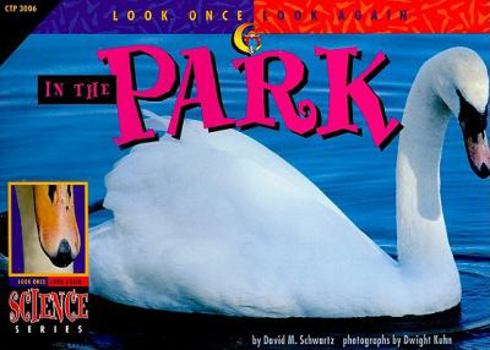 In the Park (Look Once, Look Again)