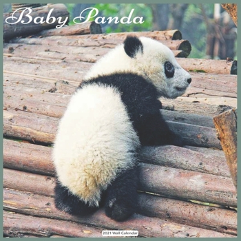 Baby Panda 2021 Wall Calendar: Official Panda 2021 Wall Calendar18 months