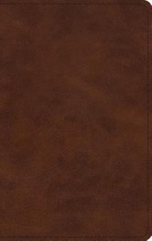 Imitation Leather ESV Large Print Thinline Bible (Trutone, Deep Brown) [Large Print] Book