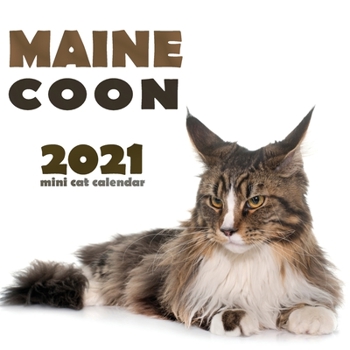 Paperback Maine Coon 2021 Mini Cat Calendar Book