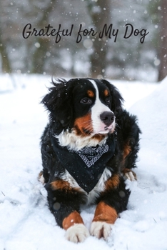 Grateful for My Dog: 31 Days of Gratitude Journaling about My Dog | Bernese Mountain Dog