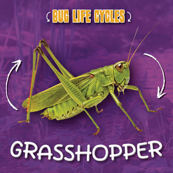 Grasshopper