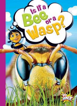 Paperback Is It a Bee or a Wasp? Book