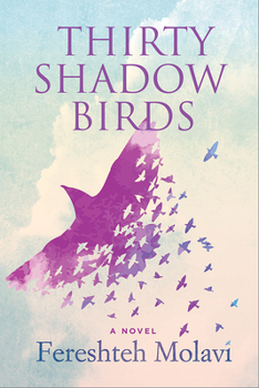 Paperback Thirty Shadow Birds Book