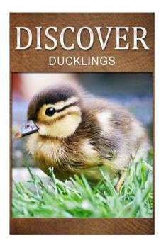 Paperback Ducklings - Discover: Early reader's wildlife photography book