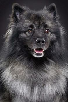 Keeshond: Artified Pets Journal/Notebook/Diary, 6" by 9" and 160 Pages