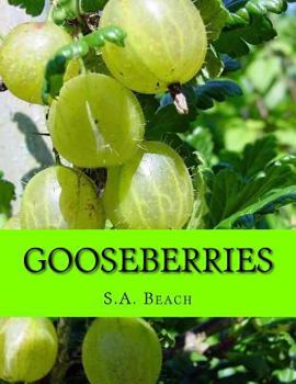 Paperback Gooseberries Book