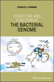 Hardcover Structure and Function of the Bacterial Genome Book