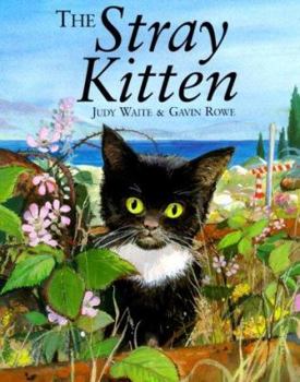 Hardcover The Stray Kitten Book