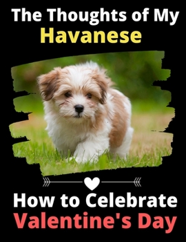 The Thoughts of My Havanese: How to Celebrate Valentine's Day