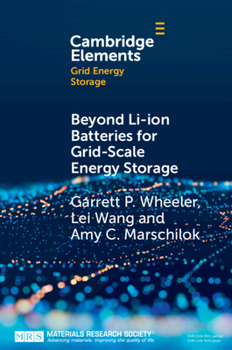 Paperback Beyond Li-Ion Batteries for Grid-Scale Energy Storage Book