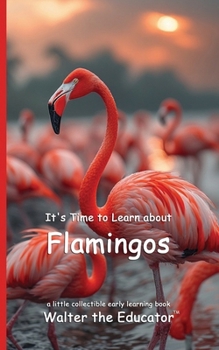 Paperback It's Time to Learn about Flamingos Book