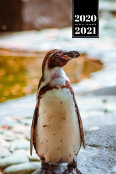 Penguin Puffin Antarctica Seabird Week Planner Weekly Organizer Calendar 2020 / 2021 - Turned Head: Cute Wildlife Animal Pet Bullet Journal Notebook Diary in 6” x 9” Inch Pocket Size
