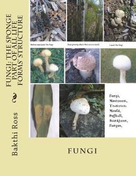 Paperback Fungi: The Sponge Part of All Life Forms' Structure: Fungi Book