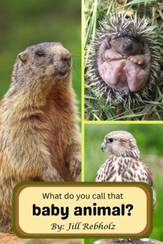 Paperback What do you call that baby animal? Book