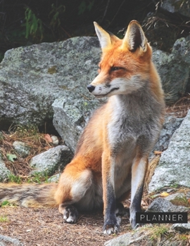 Planner: Fox 2 Year Weekly Planning Organizer | 2020 - 2021 | January 20 - December 21 | Writing Notebook | Productive Datebook Calendar Schedule | Plan Days, Set Goals & Get Stuff Done