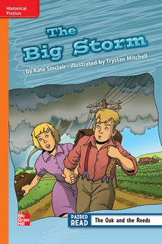 Spiral-bound Reading Wonders Leveled Reader the Big Storm: Approaching Unit 6 Week 2 Grade 3 Book